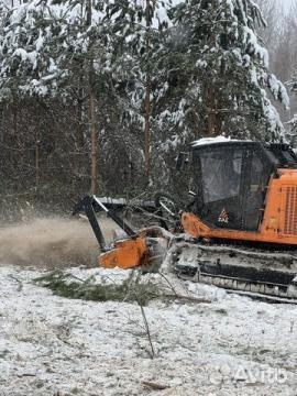 Расчистка 24/7, мульчирование от 1 Га, выкорчевка — фото 5